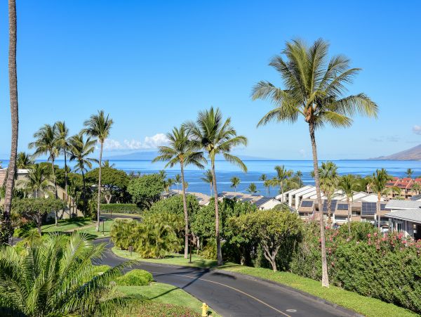 Wailea Home 1018417