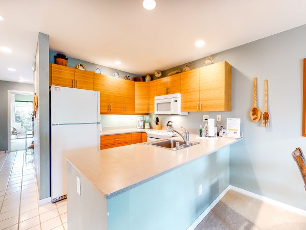 Wailea Home 1018418