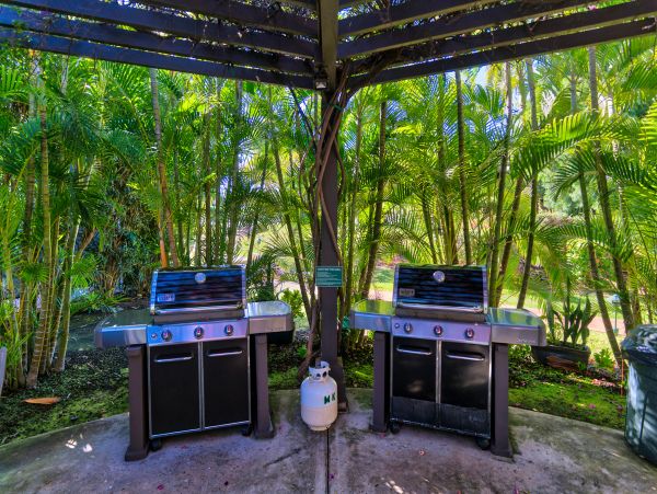 Wailea Home 1018418