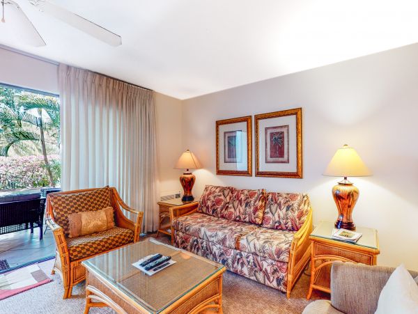Wailea Home 1018419