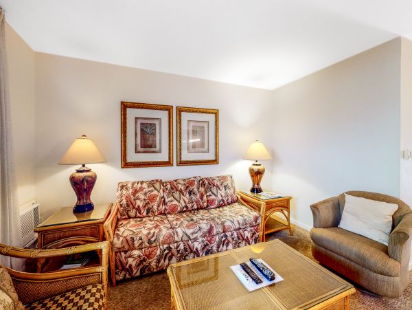 Wailea Home 1018419