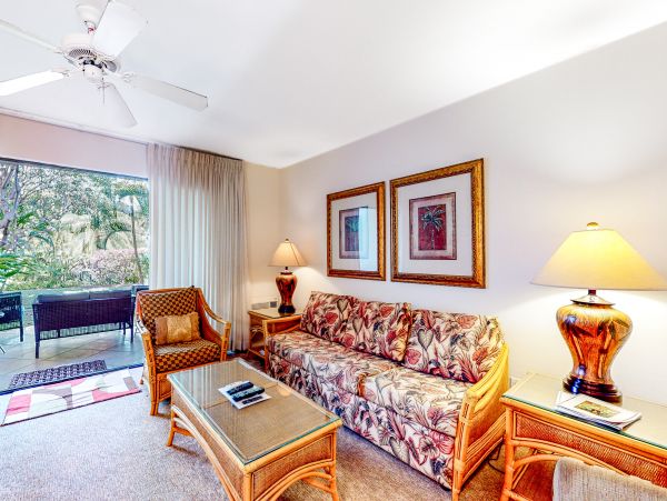Wailea Home 1018419