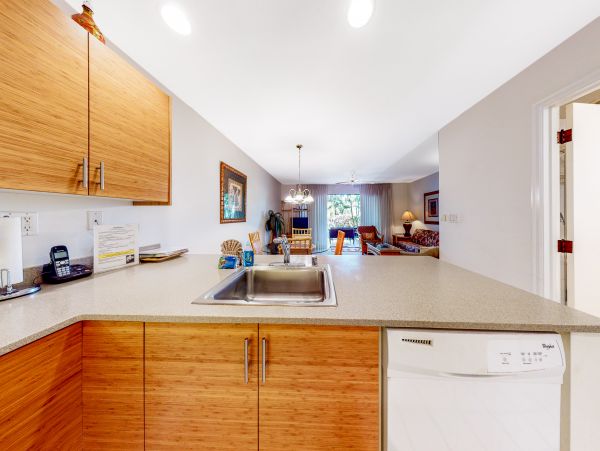 Wailea Home 1018419
