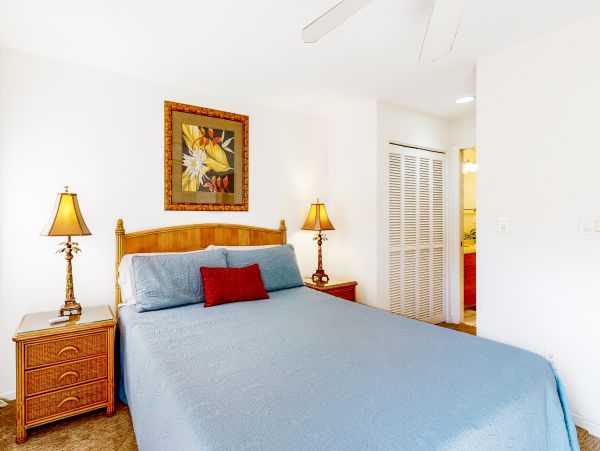 Wailea Home 1018419