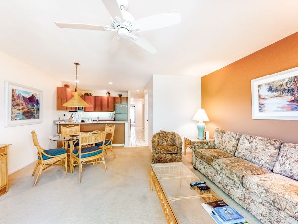 Wailea Home 1018420