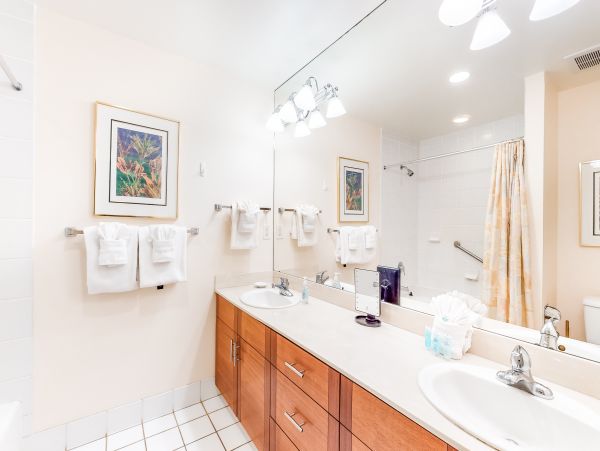 Wailea Home 1018420
