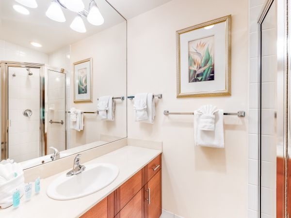 Wailea Home 1018420
