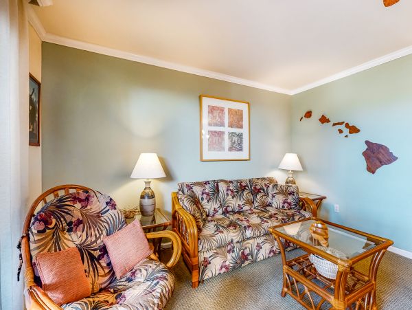 Wailea Home 1018421