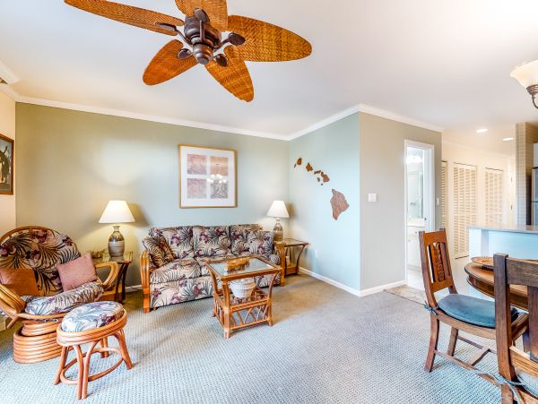 Wailea Home 1018421