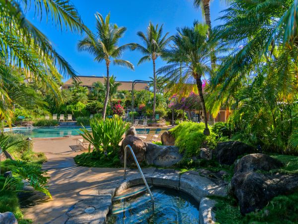 Wailea Home 1018421
