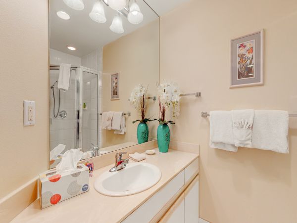 Wailea Home 1018422