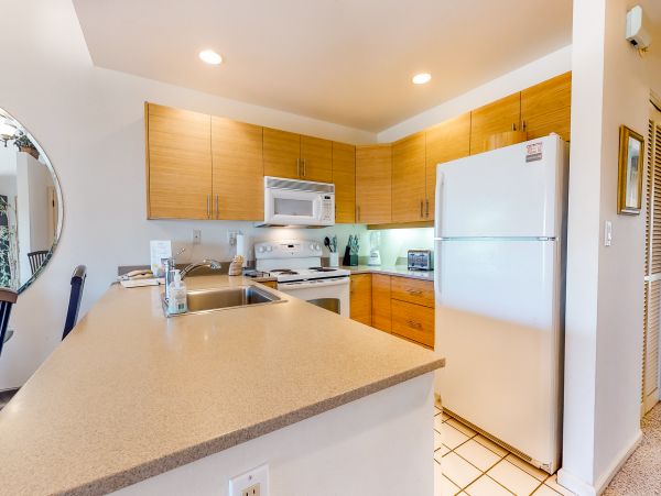 Wailea Home 1018424