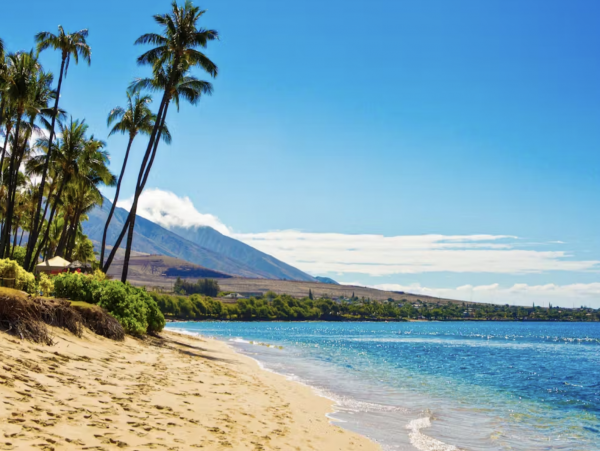 Wailea Home 1018424
