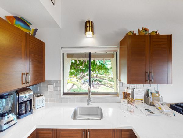 Wailea Home 1018425