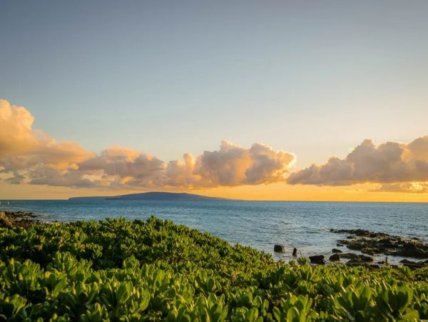 Across from Beach Two Bedroom Vacation Condo in Wailea