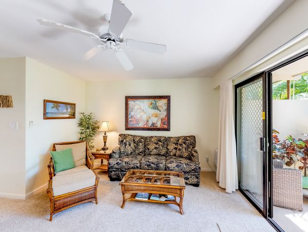Wailea Home 1018428