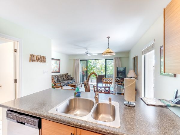 Wailea Home 1018428