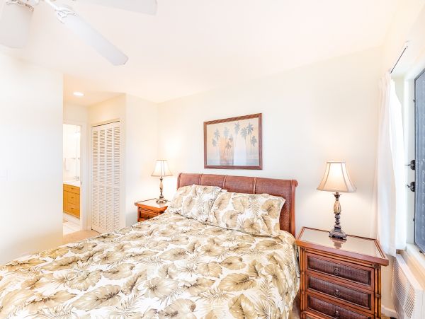 Wailea Home 1018428