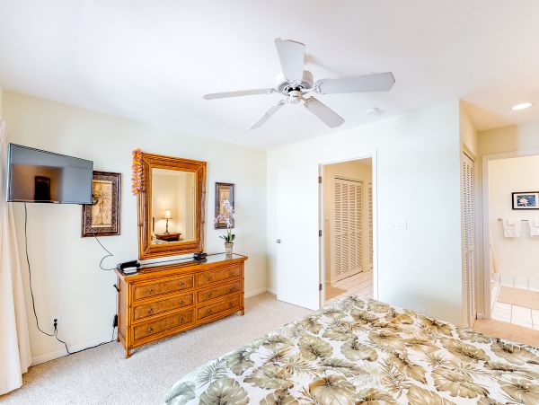 Wailea Home 1018428