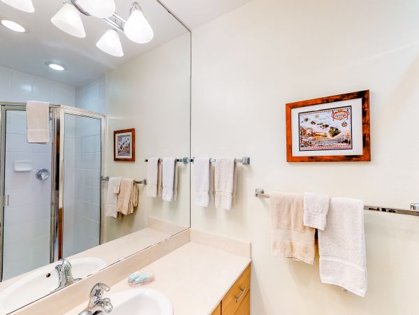 Wailea Home 1018428