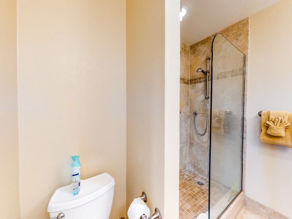Wailea Home 1018429