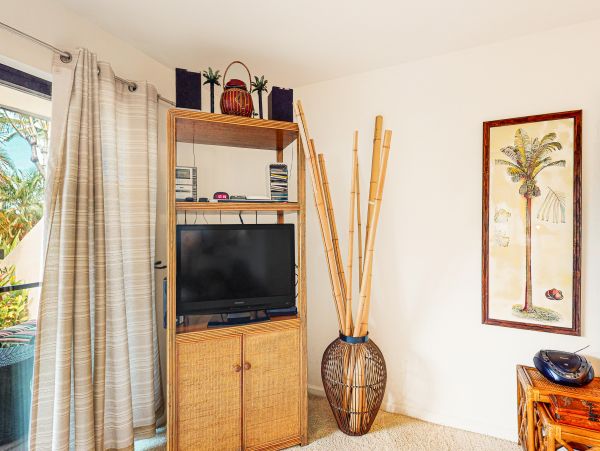 Wailea Home 1018430
