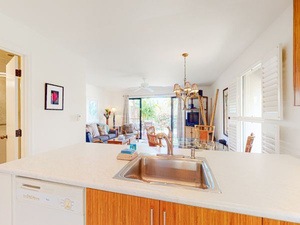 Wailea Home 1018430