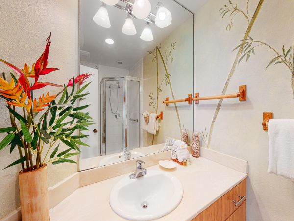 Wailea Home 1018430