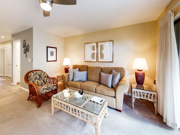 Wailea Home 1018431