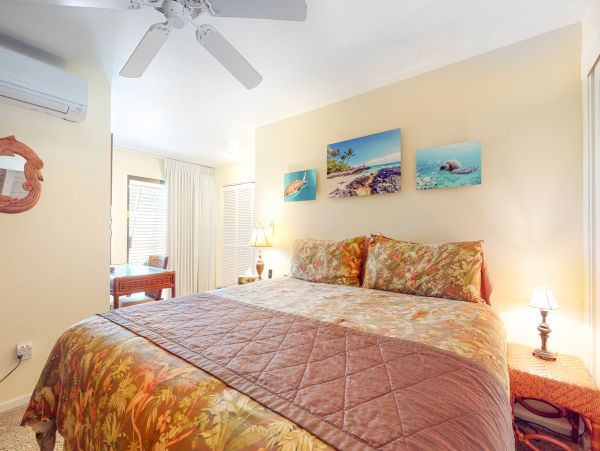 Wailea Home 1018432