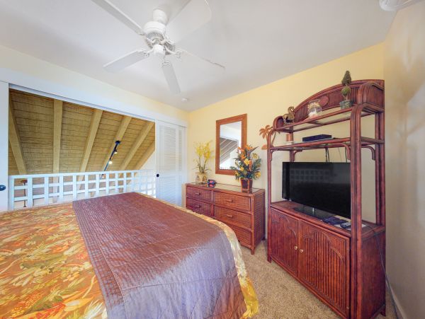 Wailea Home 1018432