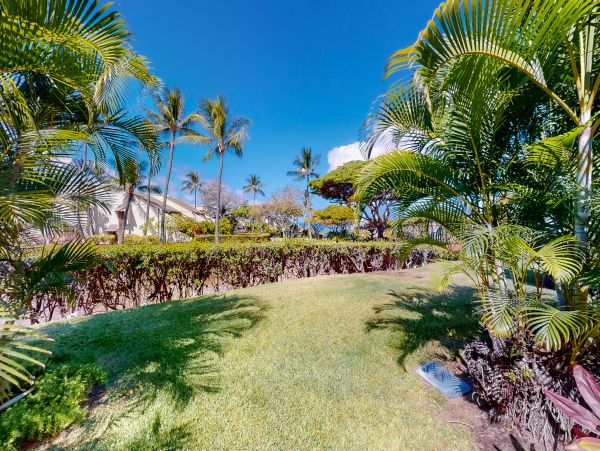 Wailea Home 1018432