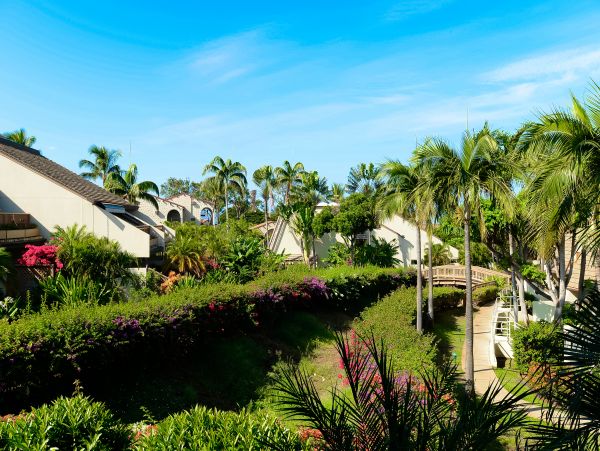 Wailea Home 1018433