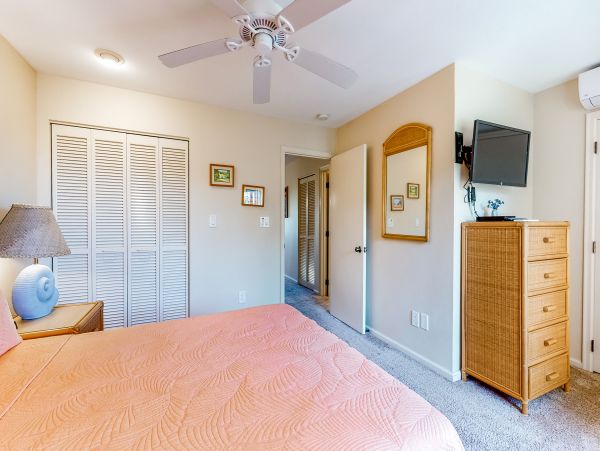 Wailea Home 1018433