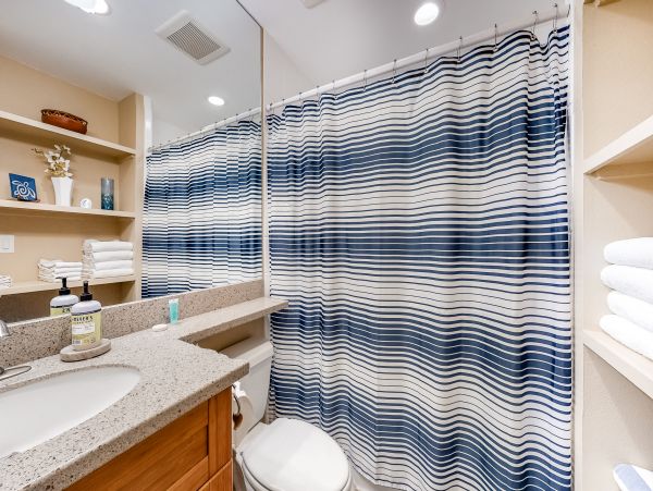 Wailea Home 1018433