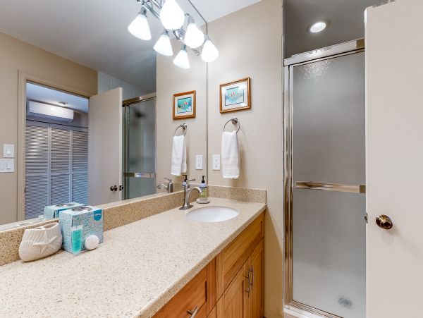 Wailea Home 1018433