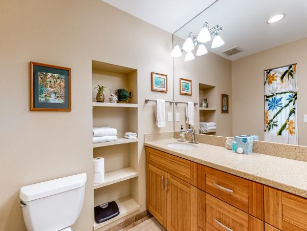 Wailea Home 1018433