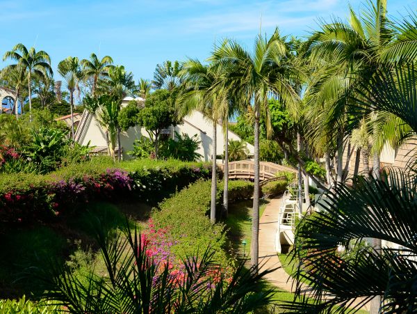 Wailea Home 1018433