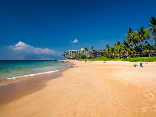 Wailea Home 1018434