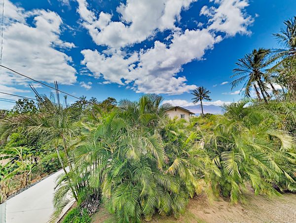 Wailea Home 1018434