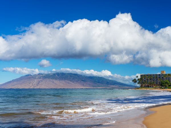 Wailea Home 1018434