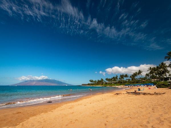 Wailea Home 1018434