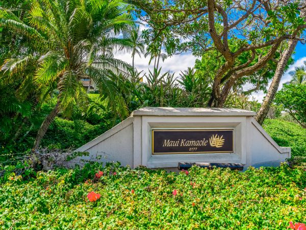 Wailea Home 1018435