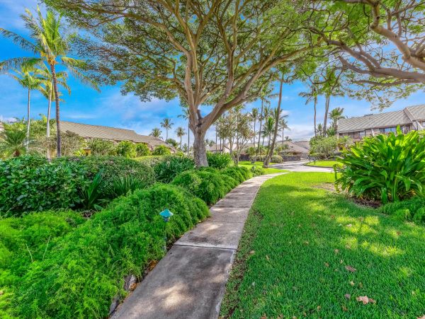 Wailea Home 1018435