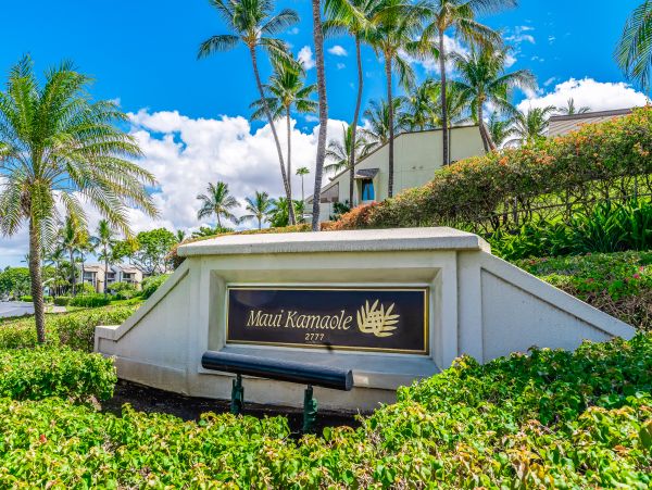 Wailea Home 1018435