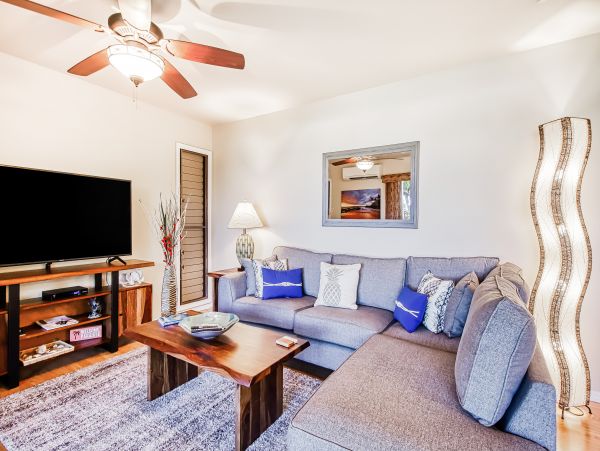 Wailea Home 1018436