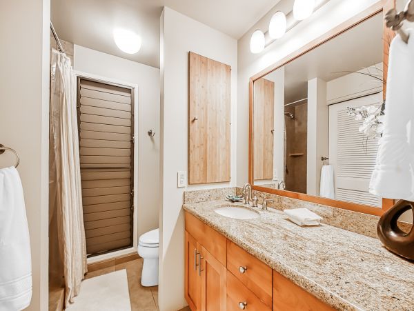 Wailea Home 1018436
