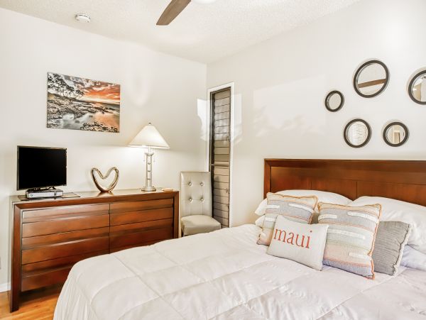 Wailea Home 1018436
