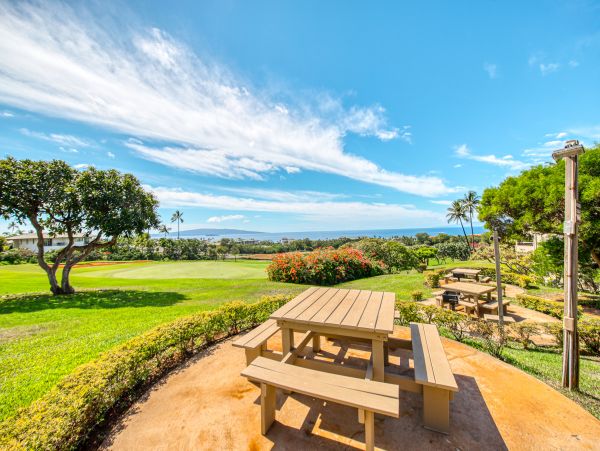 Wailea Home 1018436