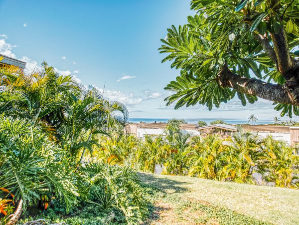 Wailea Home 1018436